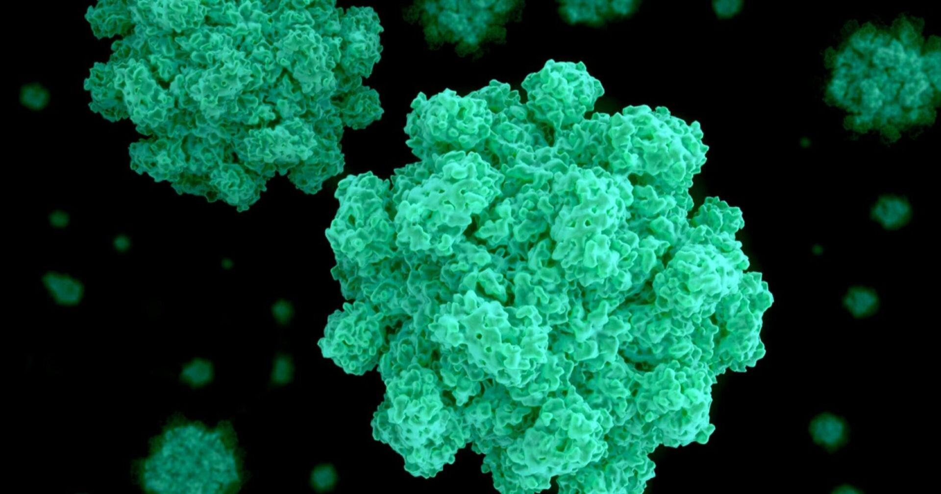 Norovirus Partikel grün unter dem Elektronenmikroskop, detailreiche Struktur, schwarze Hintergrundfläche