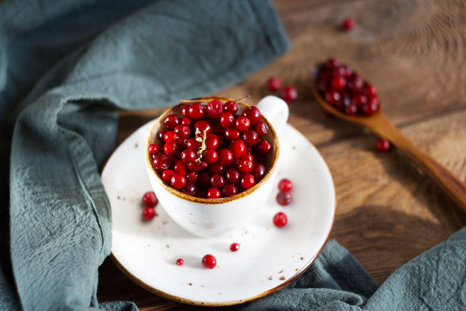 Preiselbeeren in einer weißen Tasse | Credit: iStock.com/Alena Bogdanova