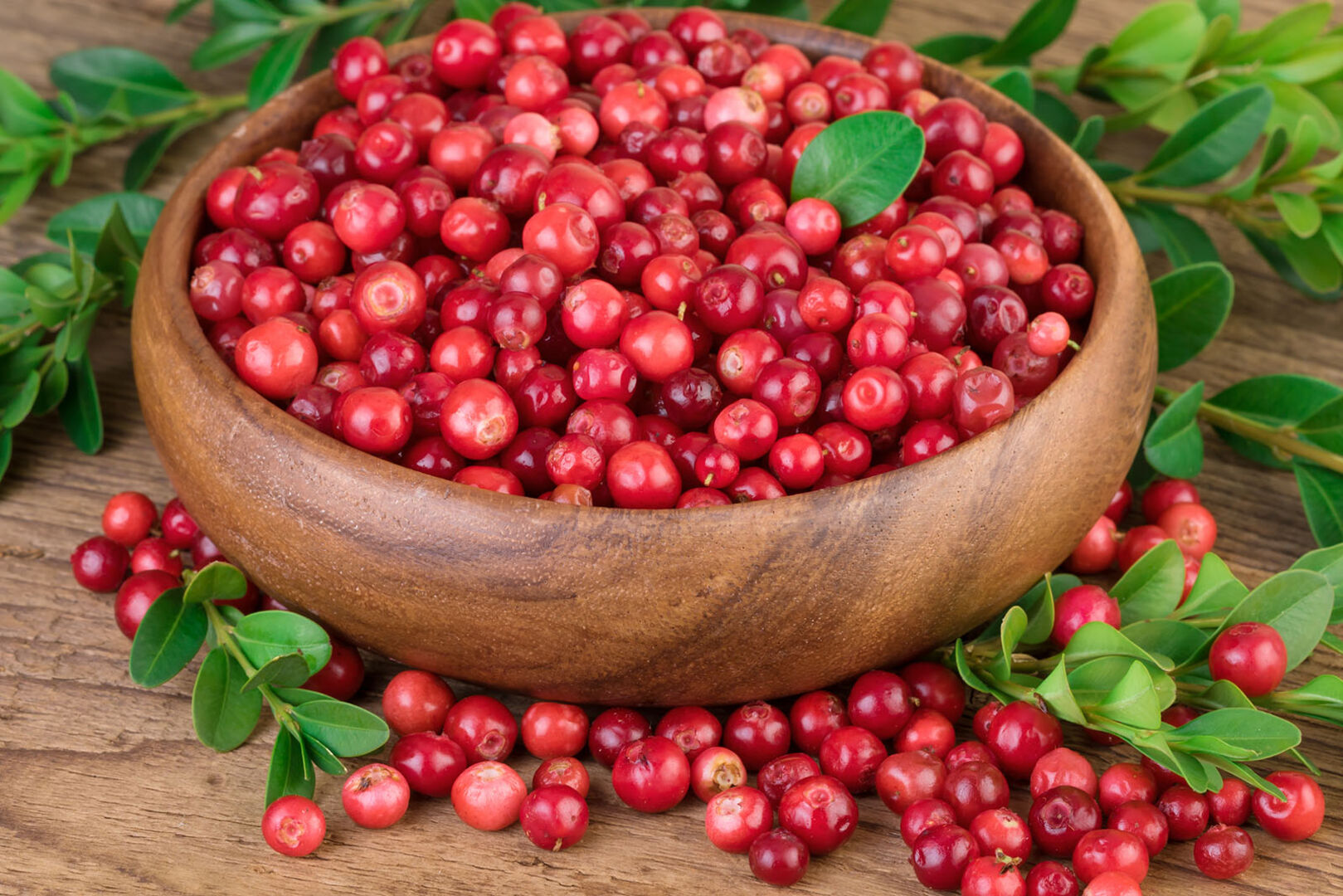 Preiselbeeren in einer Holzschale | Credit: iStock.com/AnnaBreit