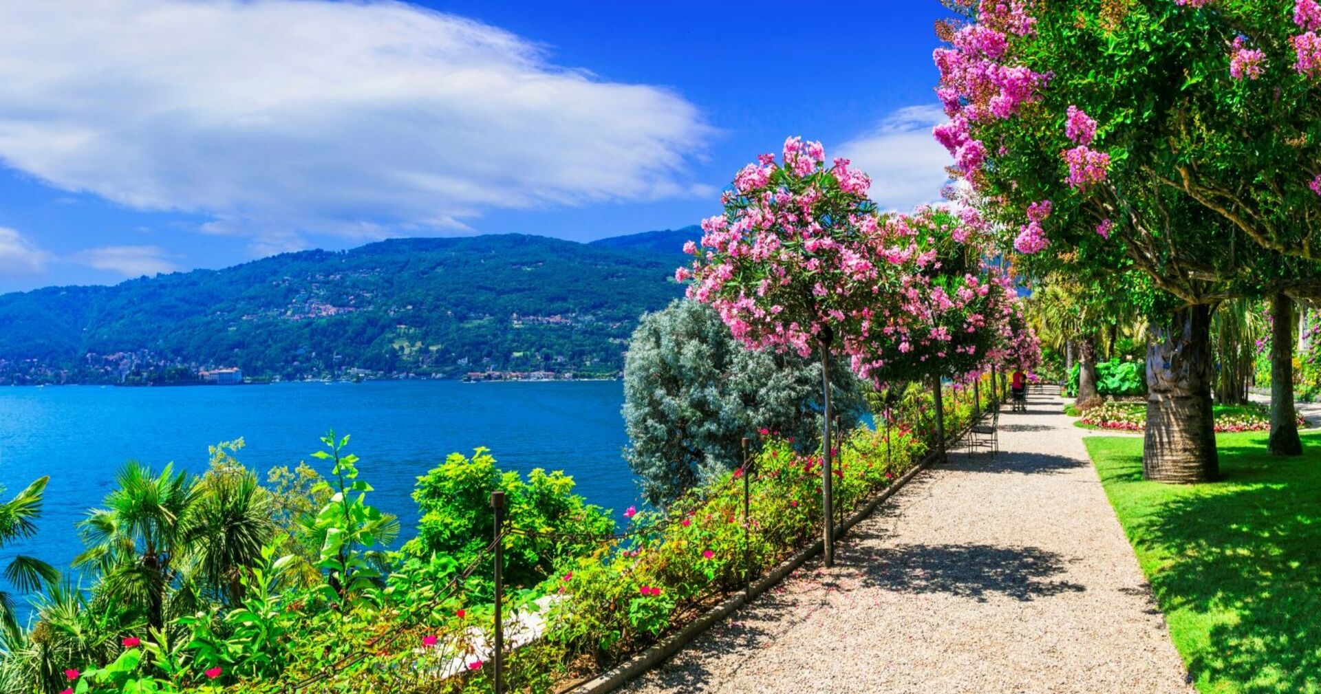 Blick auf den Lago Maggiore in Italien: Ein Spazierweg mit blühenden Bäumen und Sträuchern führt am tiefblauen See entlang, dahinter grüne Hügel unter leicht bewölktem Himmel.