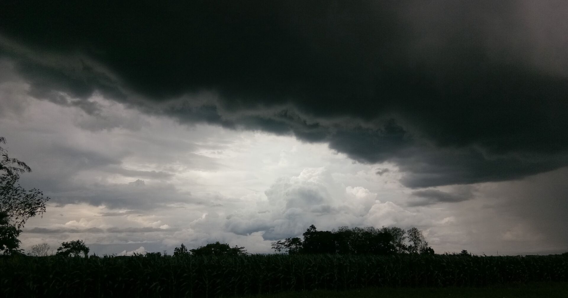 Dunkle Gewitterwolken über einem Maisfeld kündigen eine bevorstehende Unwetterlage an. Besonders im Osten Österreichs steigt am Montag die Gefahr kräftiger Gewitter.