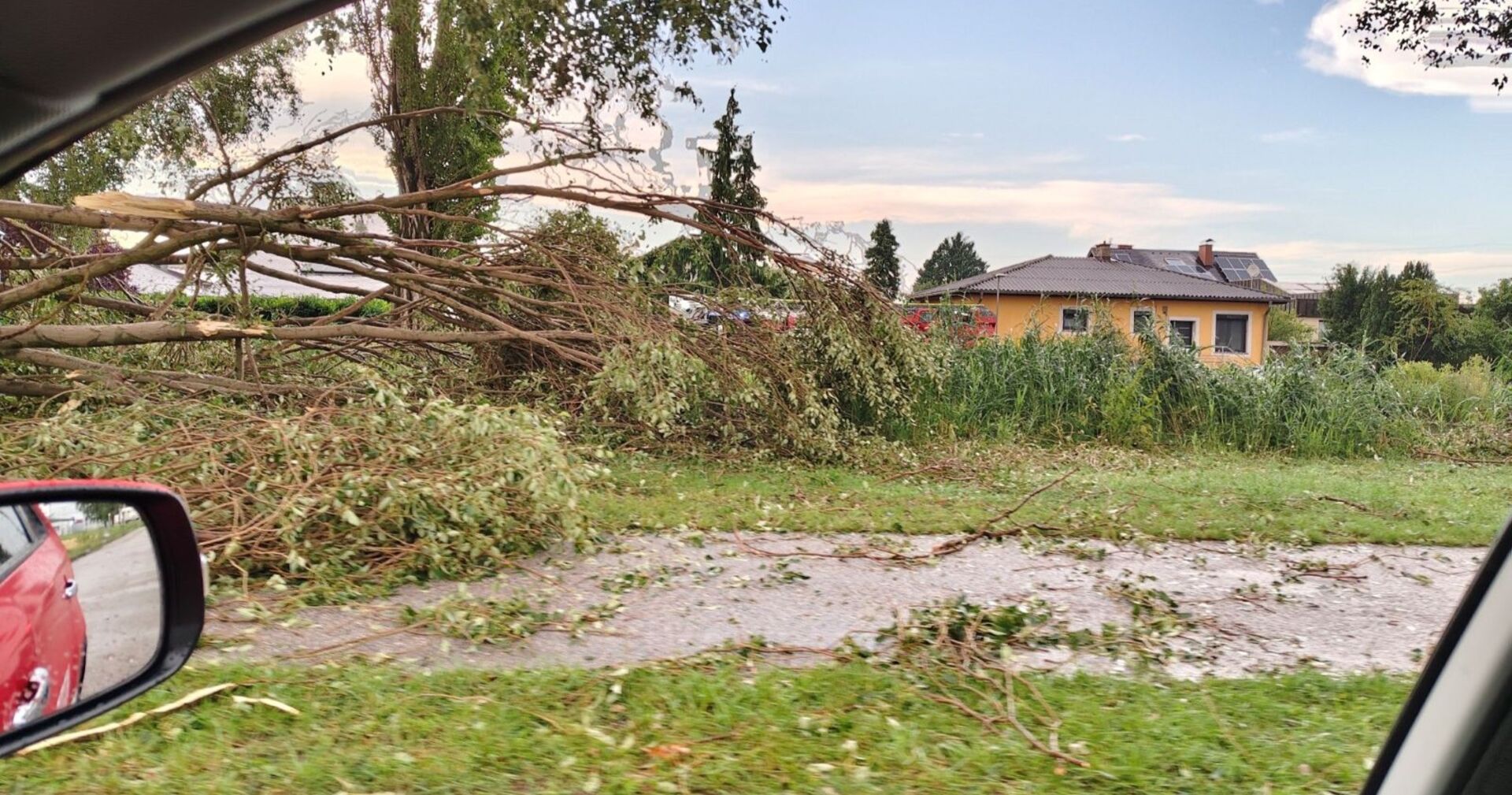 Mehrere entwurzelte Bäume liegen nach einem Unwetter quer über eine Wiese und einen Weg in Wiener Neustadt, im Hintergrund steht ein gelbes Wohnhaus.