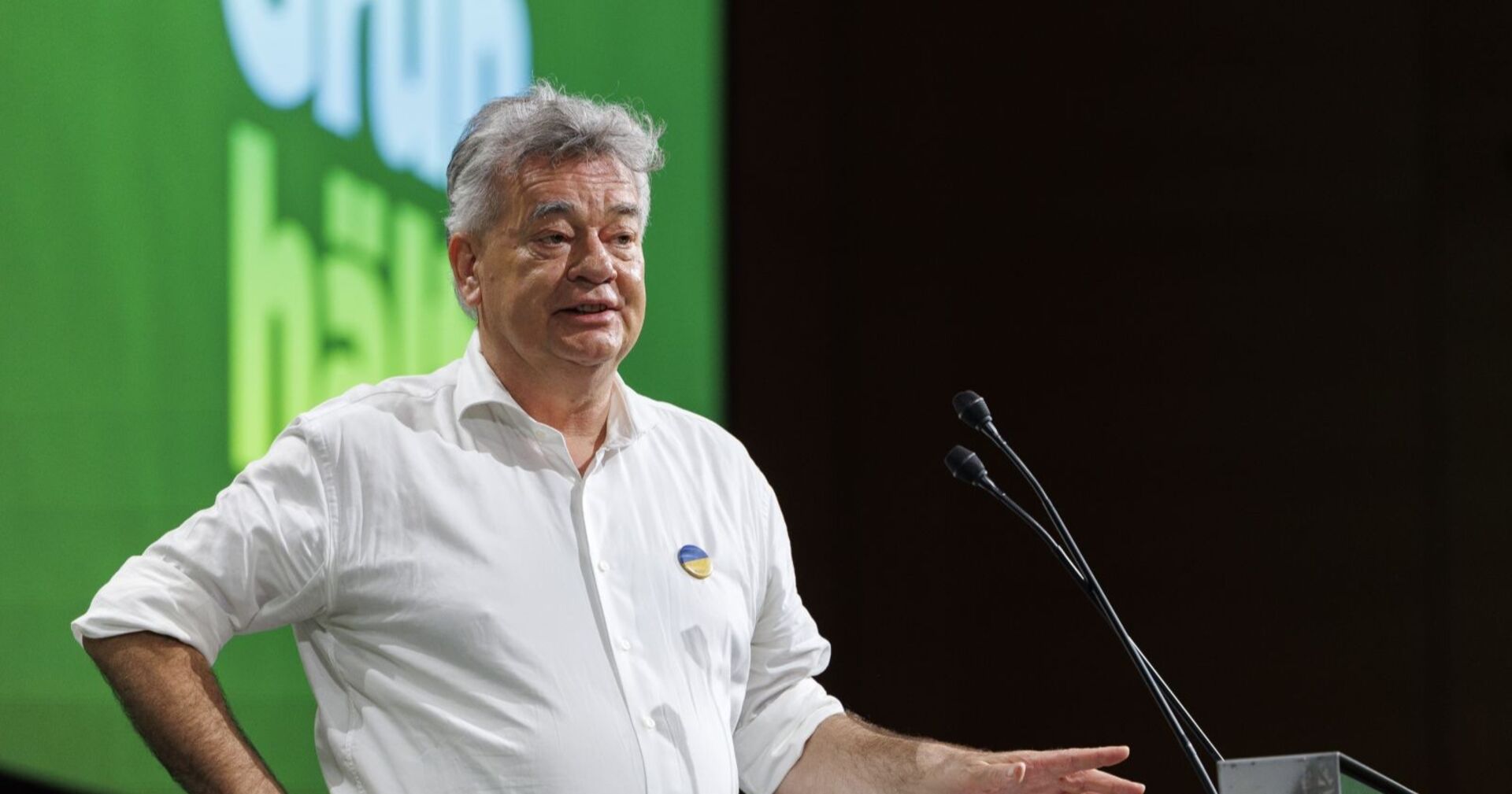 Werner Kogler auf dem Bundeskongress der Grünen in Wien