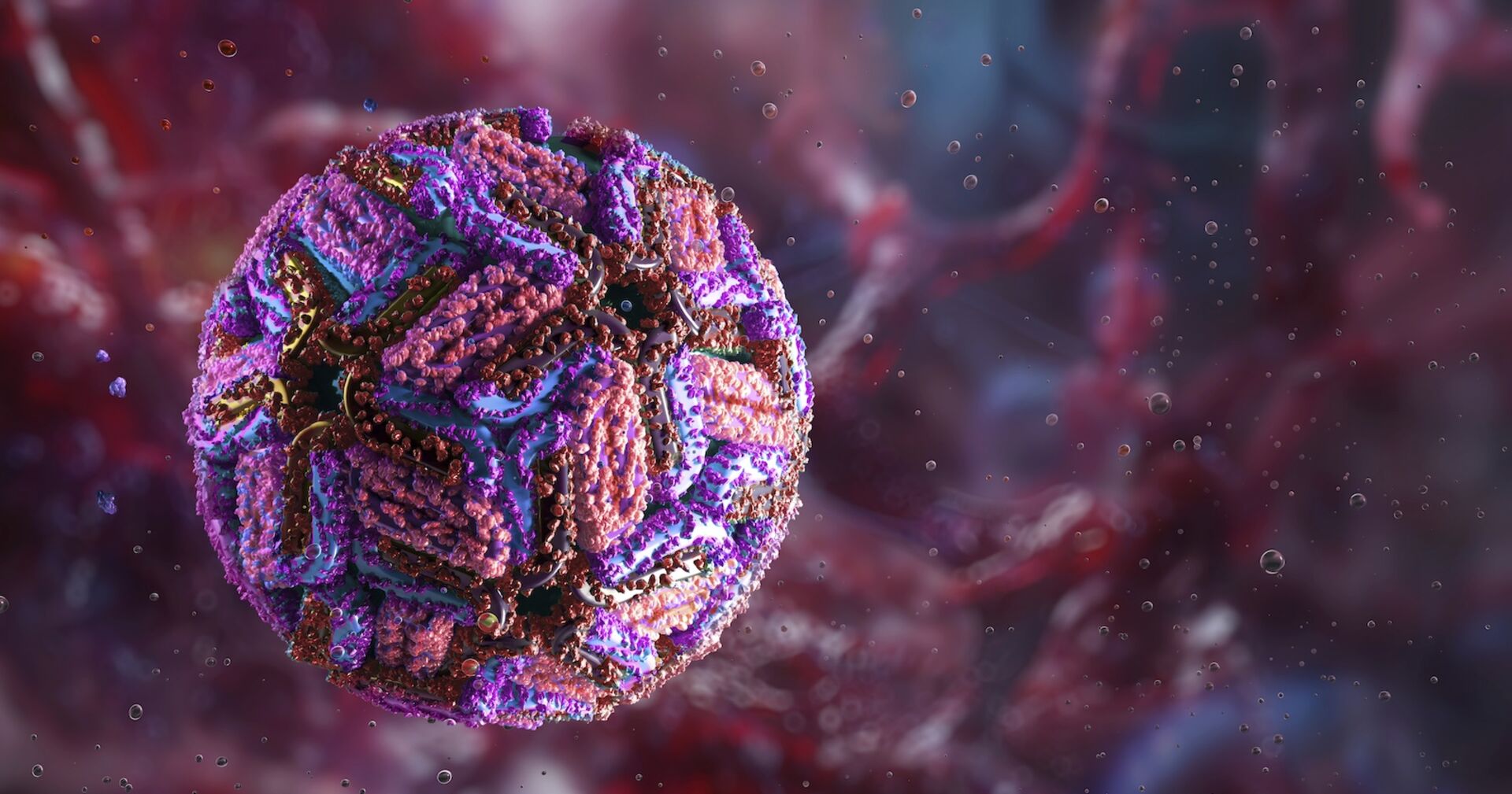 West-Nil-Virus fordert drei Todesopfer in Italien.