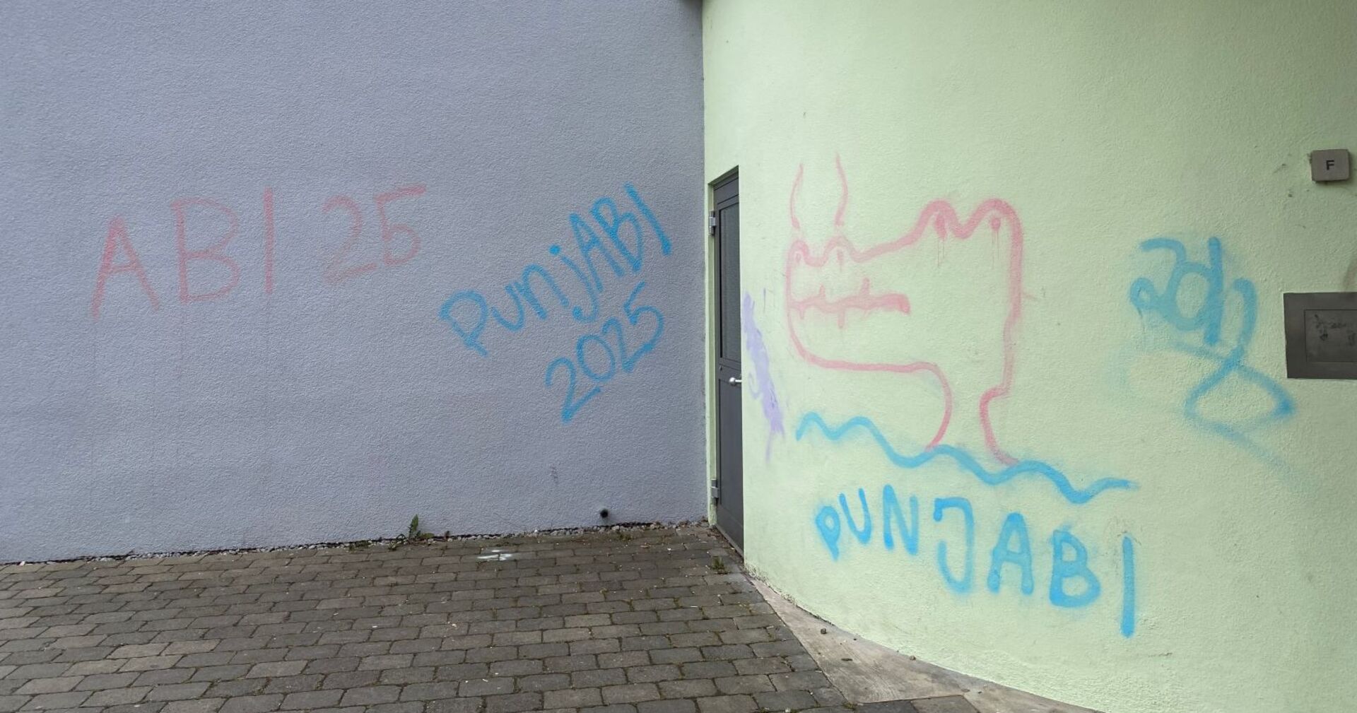 Ein Krokodil, ein Wortspiel und jede Menge Farbe: Der Abi-Streich am Eugen-Bolz-Gymnasium sorgte für Ärger – und 9000 Euro Schaden.