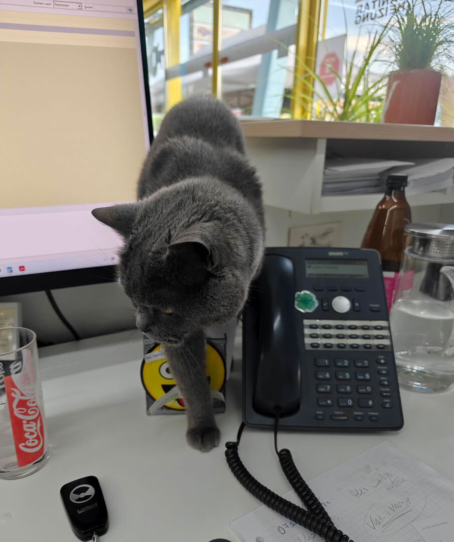 Corona sitzt am Schreibtisch | Credit: Lilli Platzer