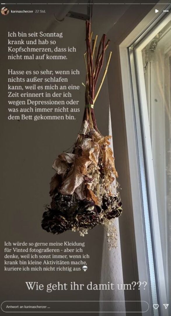Karina Scherzer Instagramstory