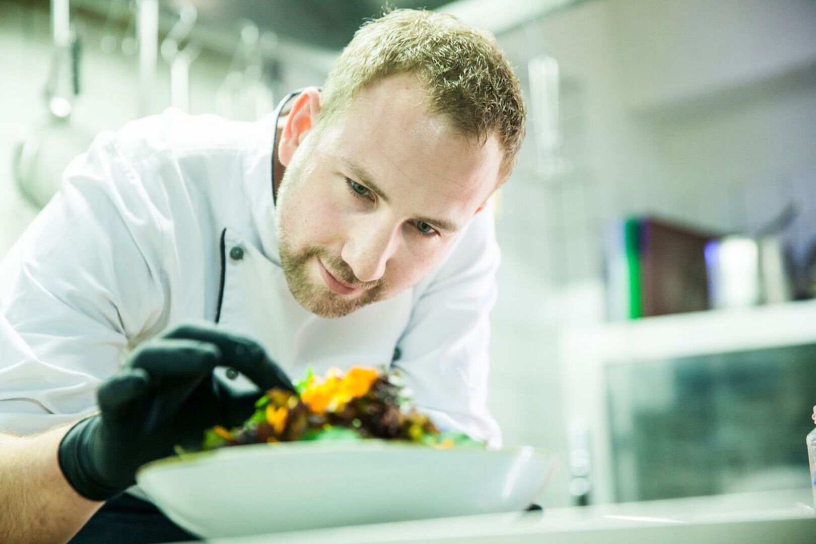 Koch platziert ein Blatt am Anrichteteller