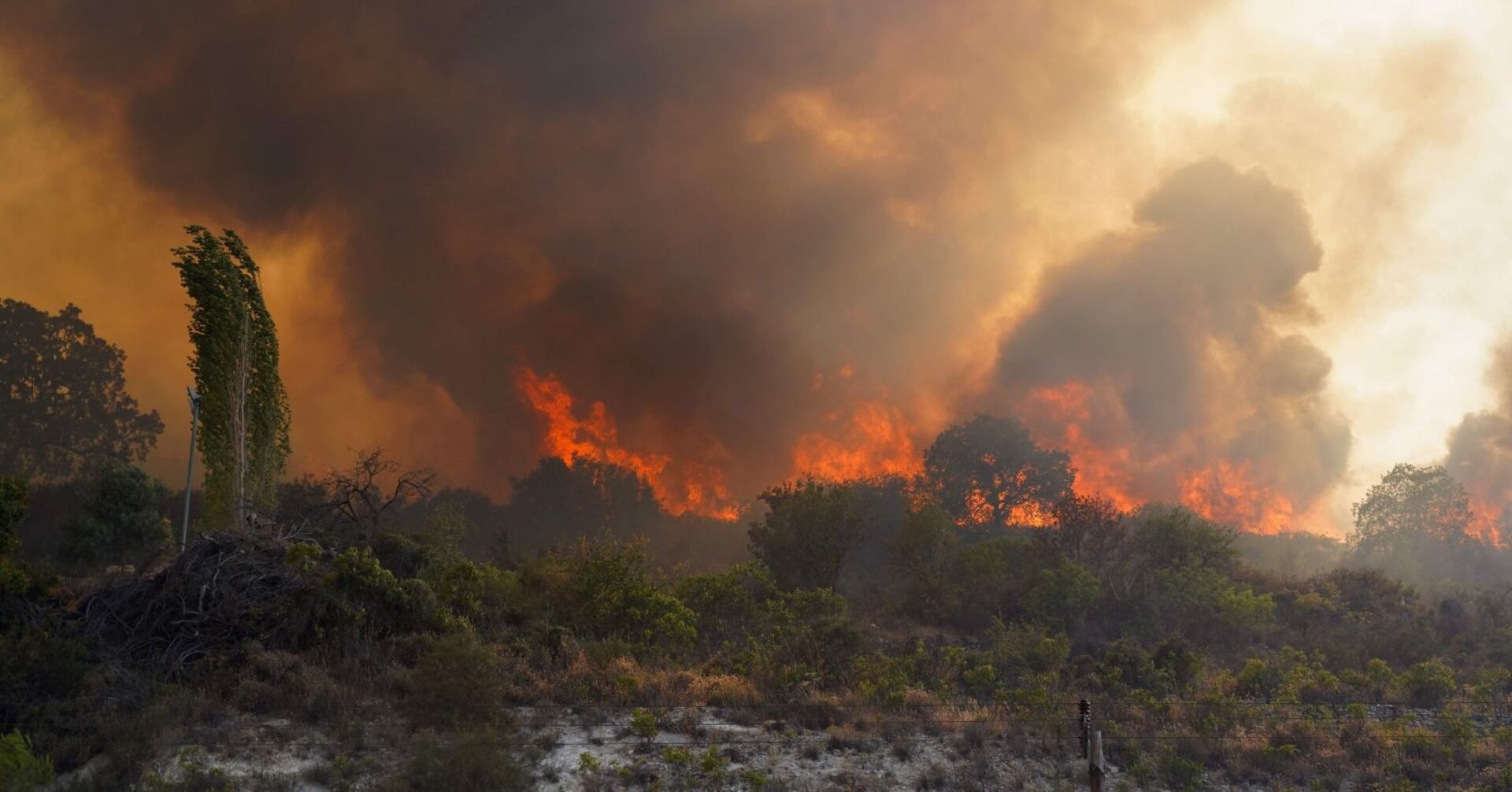 Verstöße gegen die Waldbrandverordnungen können mit Geldstrafen bis zu 7.270 Euro oder bis zu vier Wochen Haft geahndet werden.