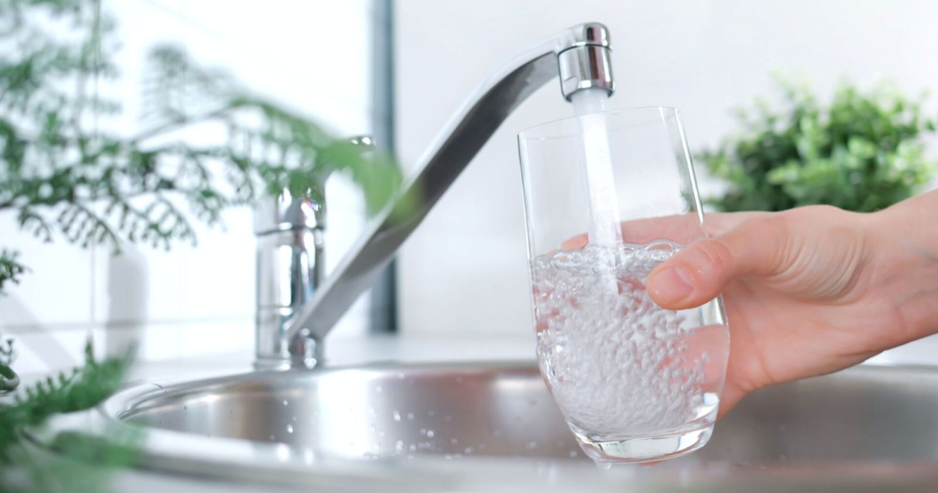 Nahaufnahme einer Hand, die ein Glas unter einen Wasserhahn hält, während klares Leitungswasser eingeschenkt wird. Im Hintergrund sind Pflanzen und eine Küchenspüle zu sehen.