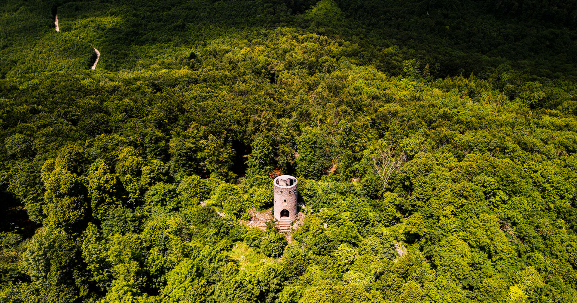 Wienerwald | Credit: Wienerwald Tourismus/Sascha Schernthaner