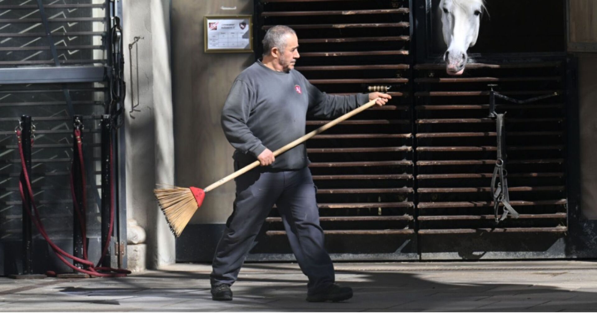 Stallarbeiter mit Besen vor einer Pferdebox in der Spanischen Hofreitschule Wien, Lipizzaner steckt den Kopf heraus.