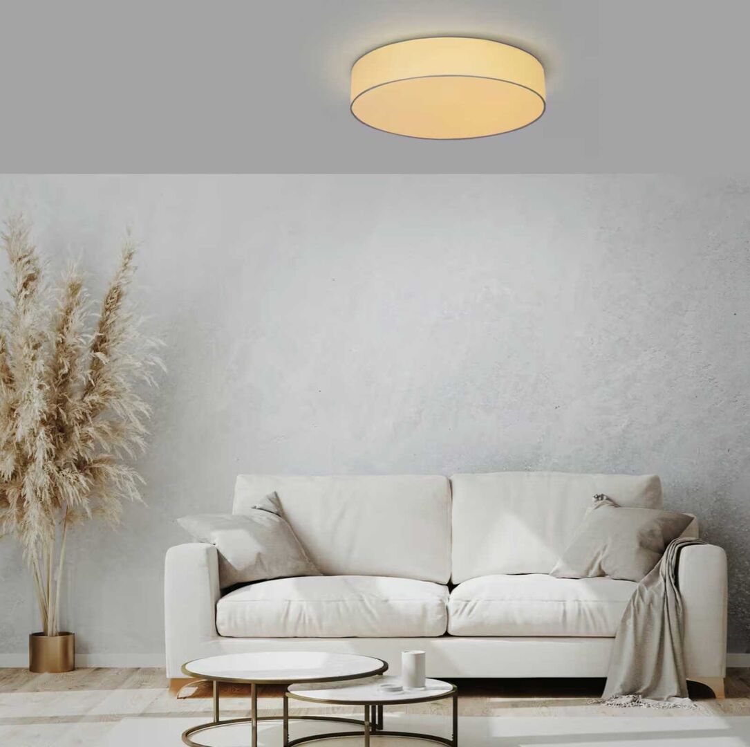 Ein modernes Wohnzimmer mit beiger Couch, Kissen und Decke, dekorativen Trockenpflanzen in einer Vase, runden Couchtischen und einer leuchtenden smarten Deckenlampe an der grauen Decke.