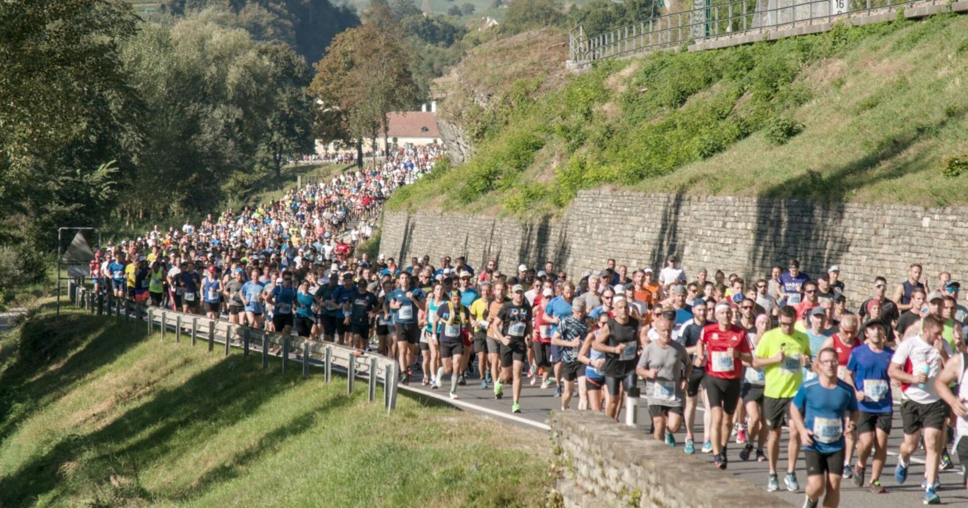 Läufer auf der Strecke des Wachaumarathon