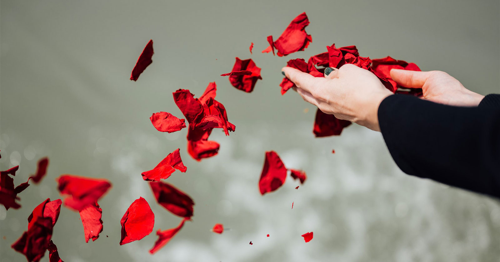 Frau wirft rote Rosenblätter ins Wasser | Credit: Bestattung Himmelblau/Daniel Willinger