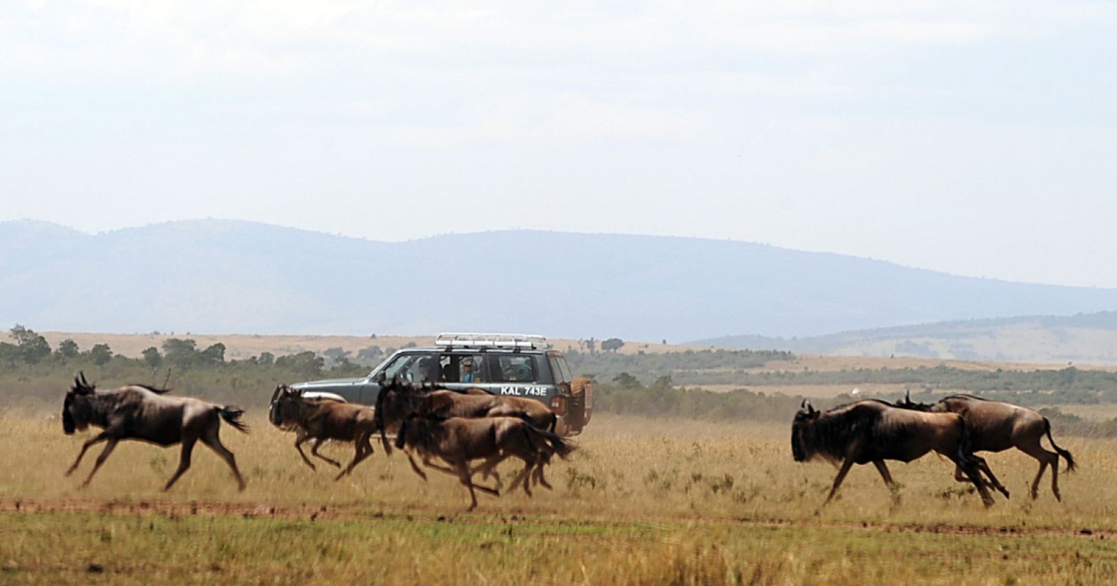 Ansicht des kenianischen Nationalparks Massai Mara