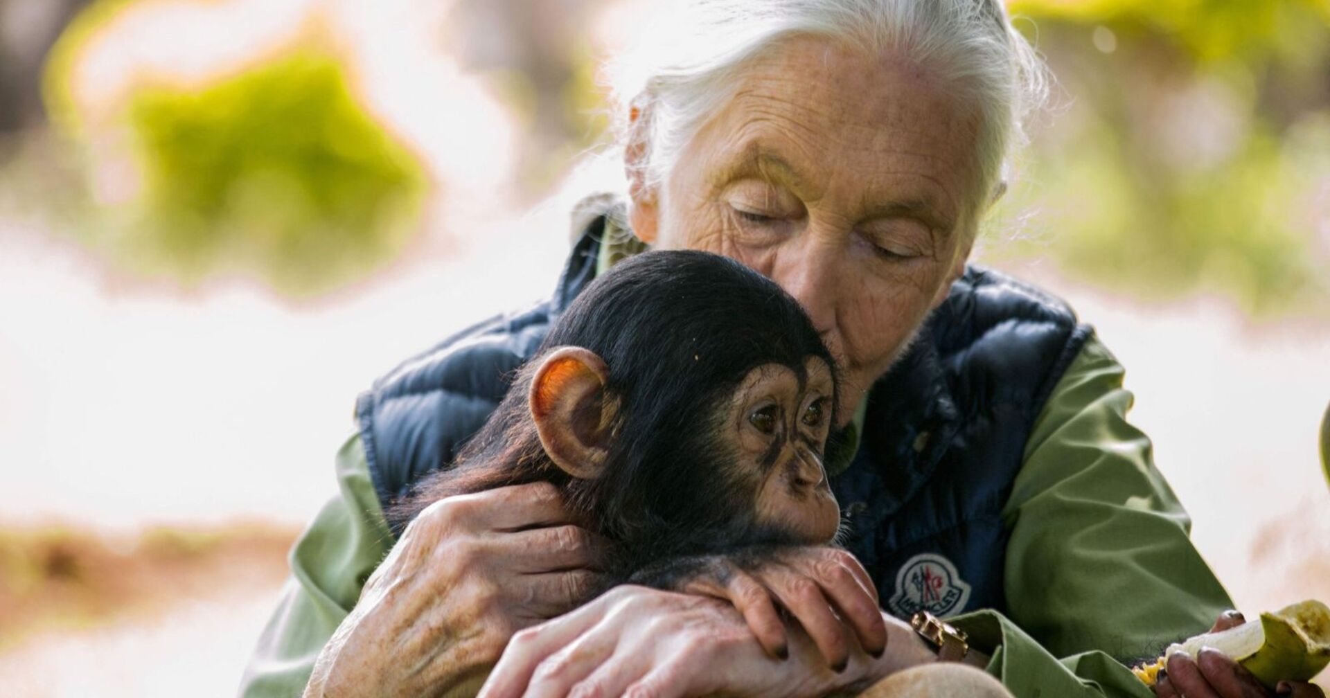 Jane Goodall umarmt liebevoll ein junges Schimpansenbaby und drückt es sanft an sich, Szene in natürlicher Umgebung.