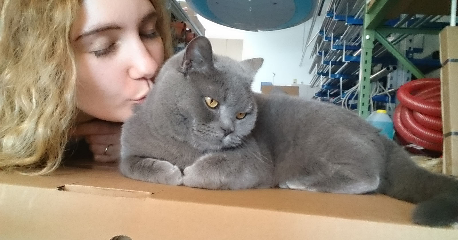 Lilli mit Corona | Credit: Lilli Platzer