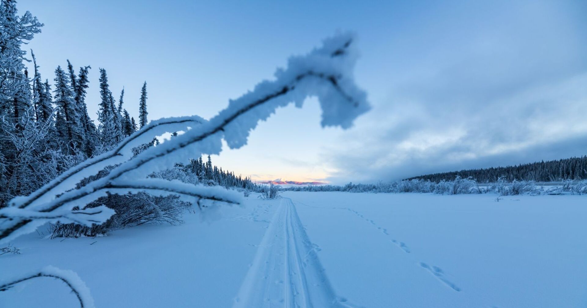 Eine frostige Winterlandschaft mit Schnee.
