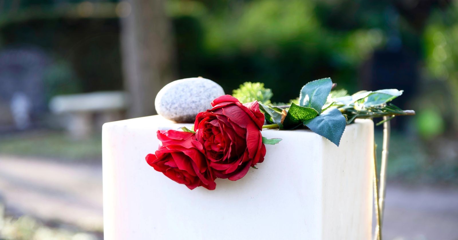 rote Rosen auf Grabstein