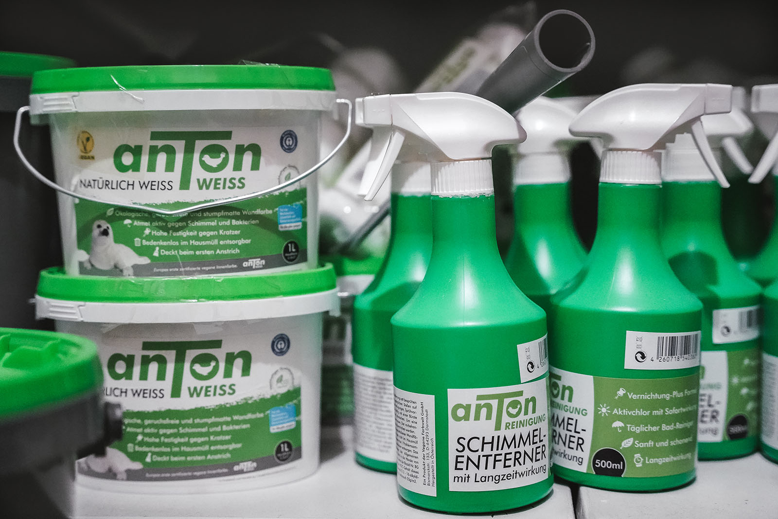 Vegane Wandfarbe | Credit: Vegan Wolf