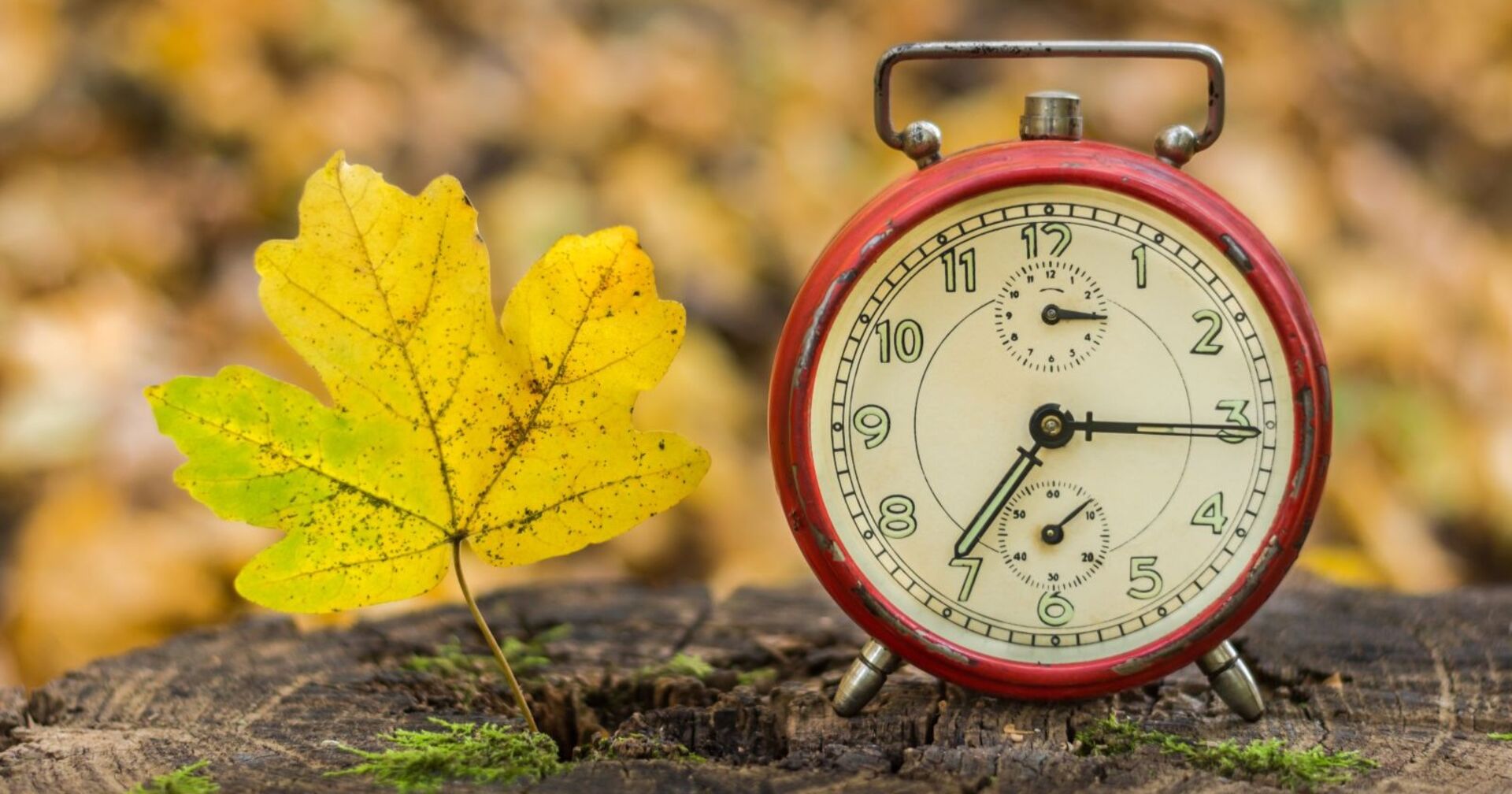 Roter Wecker und gelbes Herbstblatt auf Baumstumpf – Symbol für die Zeitumstellung im Herbst in Österreich.