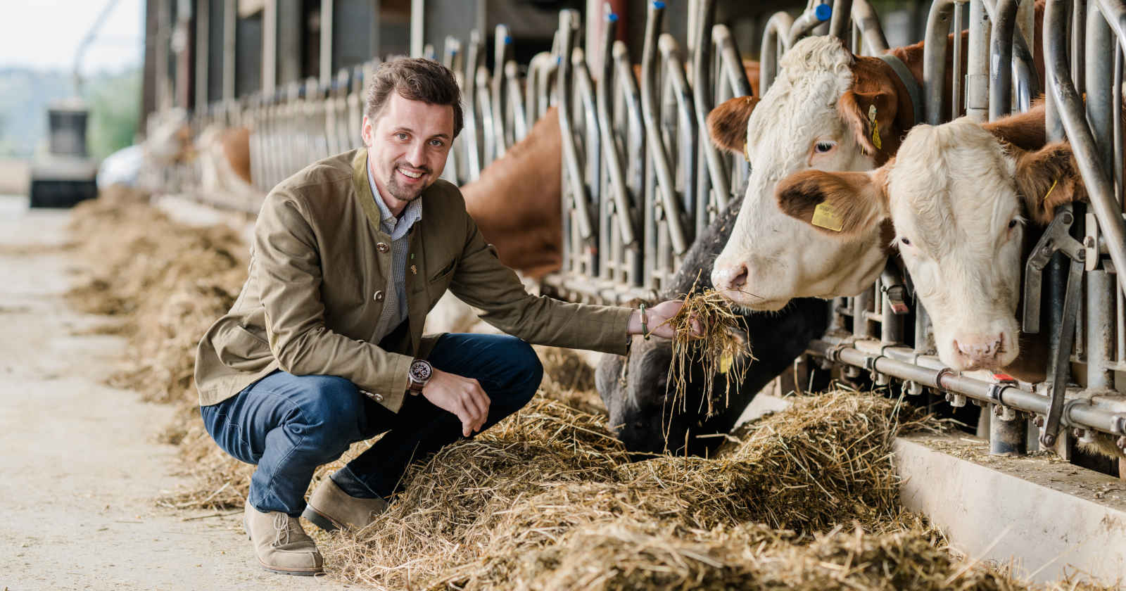 Ein Mann sitzt neben Kühen in Heu