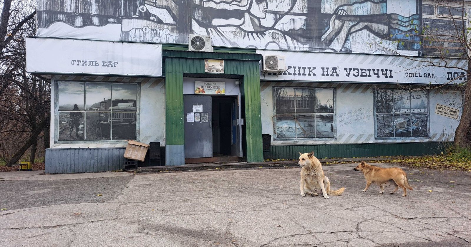 Hunde in Tschernobyl.