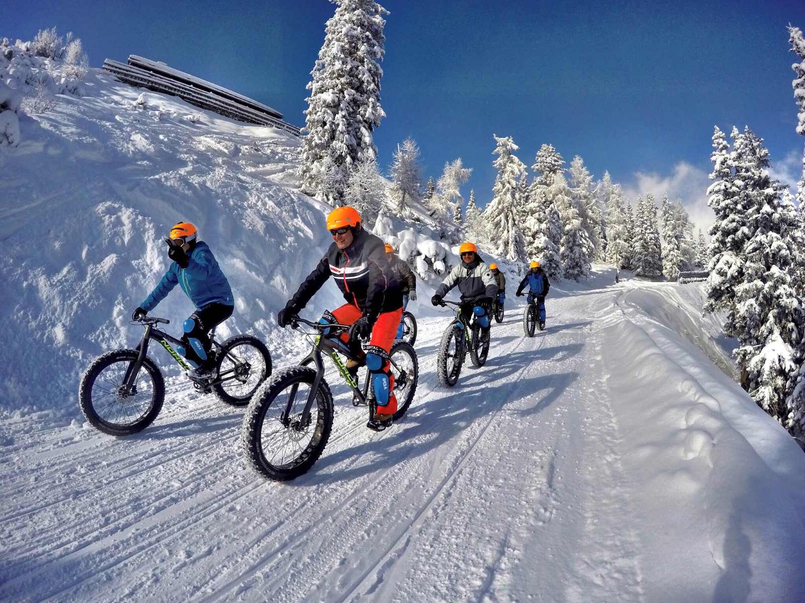 Gruppe von Menschen fährt mit Fatbikes auf einem verschneiten Winterweg durch eine Landschaft mit schneebedeckten Bäumen und blauem Himmel.