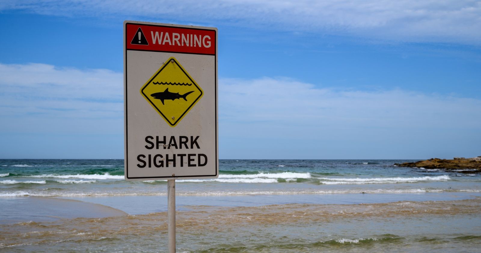 Ein Warnschild mit der Aufschrift „Shark sighted“ steht am Strand und weist auf Hai-Sichtungen im Meer vor Australiens Ostküste hin.