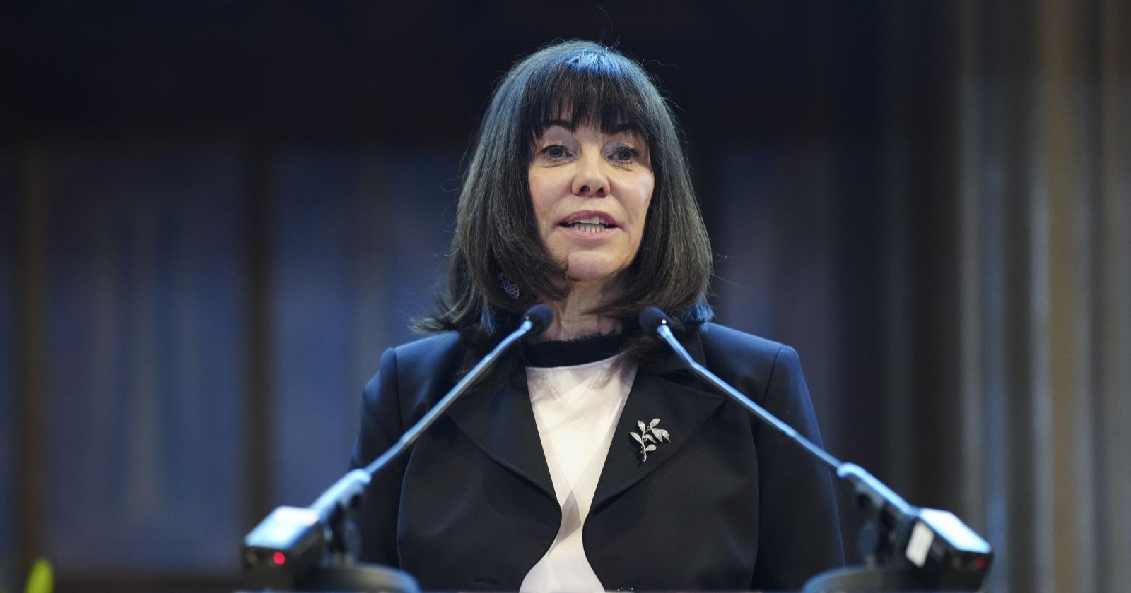 Martha Schultz am Redner-Pult bei einer Veranstaltung der WKÖ, sie übernimmt die Kammer interimistisch als Präsidentin