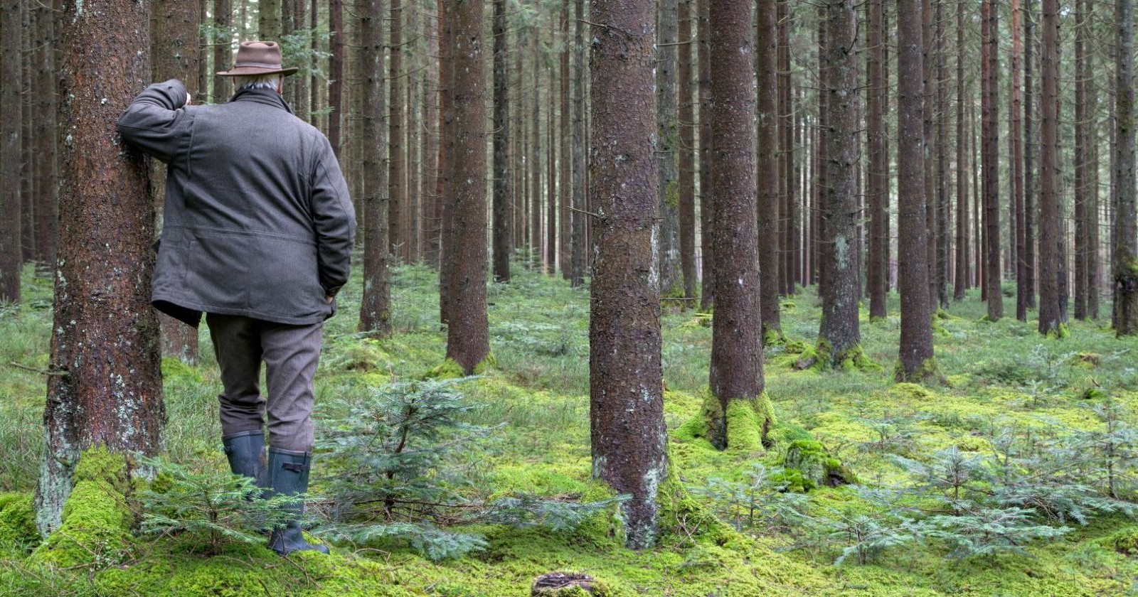 Jäger steht im Wald