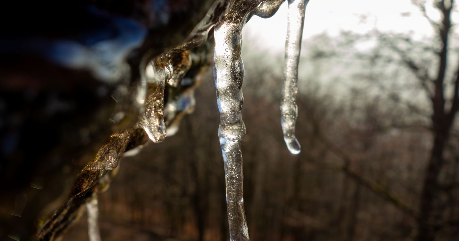 Eiszapfen, die von einer Felsformation hängen, zeigen die Schönheit des Winters in einer ruhigen Waldumgebung