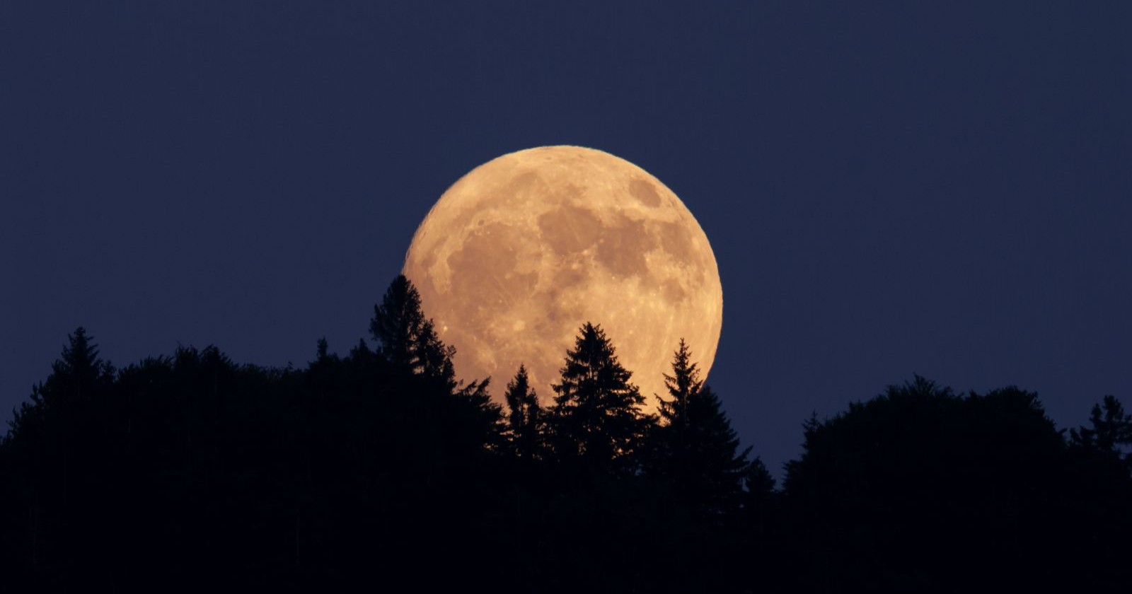 Vollmond über einer Waldlandschaft, als Supermond sieht der Erdtrabant besonders groß aus, so auch der Vollmond im Dezember 2025.