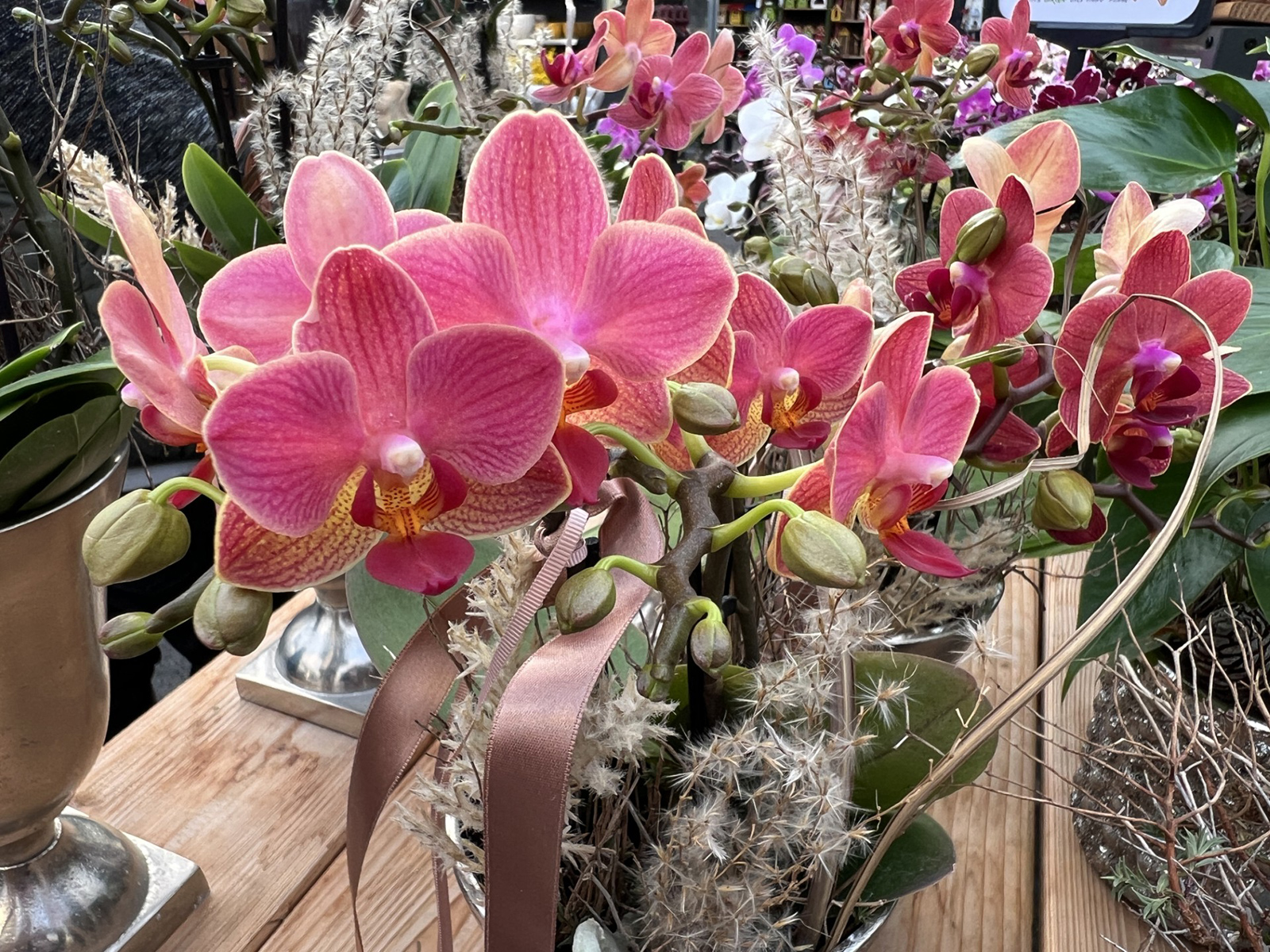 Orchideen in einer Gärtnerei | Credit: Gärtnerei Dopetsberger