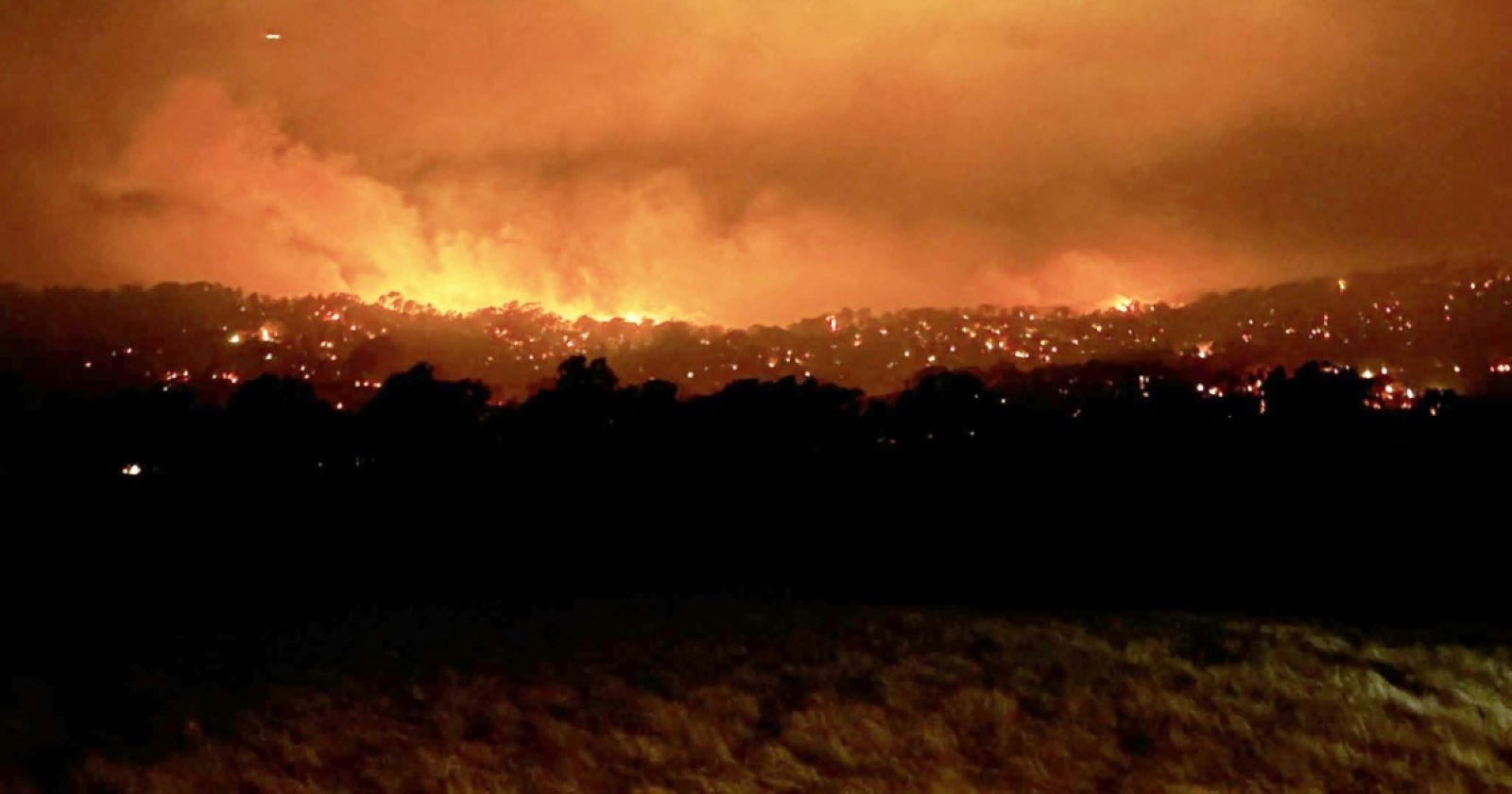 Brennende Büsche in Australien