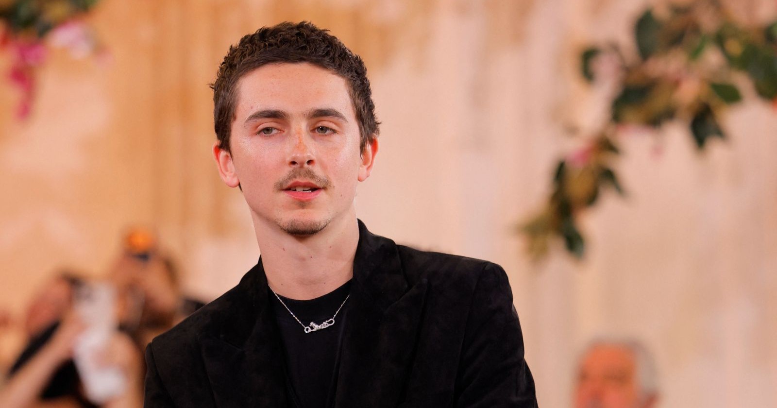 Timothee Chalamet posiert auf dem roten Teppich