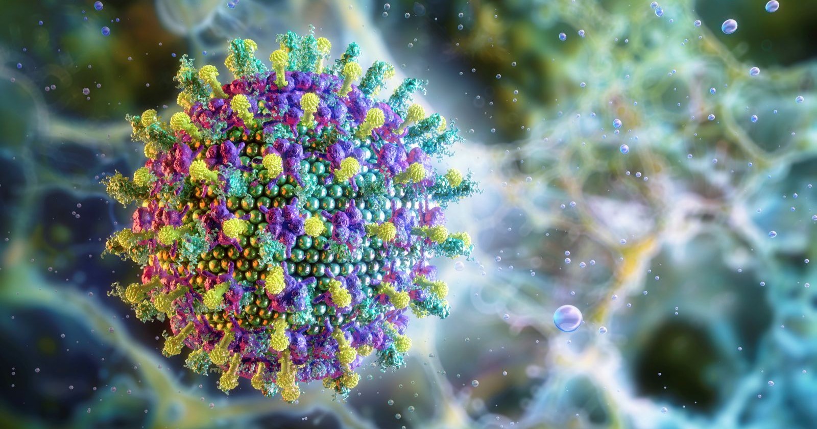 Nipah-Virus als 3D-Illustration: Darstellung des gefährlichen Erregers, der in Indien zu Infektionen führte und in Asien verschärfte Maßnahmen auslöste.