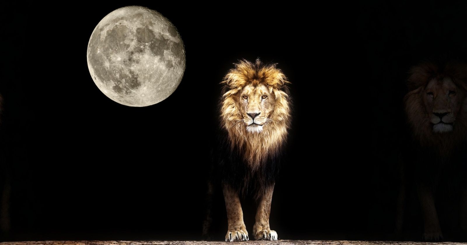 Vollmond im Löwen 2026 – leuchtender Mond am Nachthimmel neben einem Löwen als Symbol für Stärke, Mut und die astrologische Energie des Februar-Vollmonds.