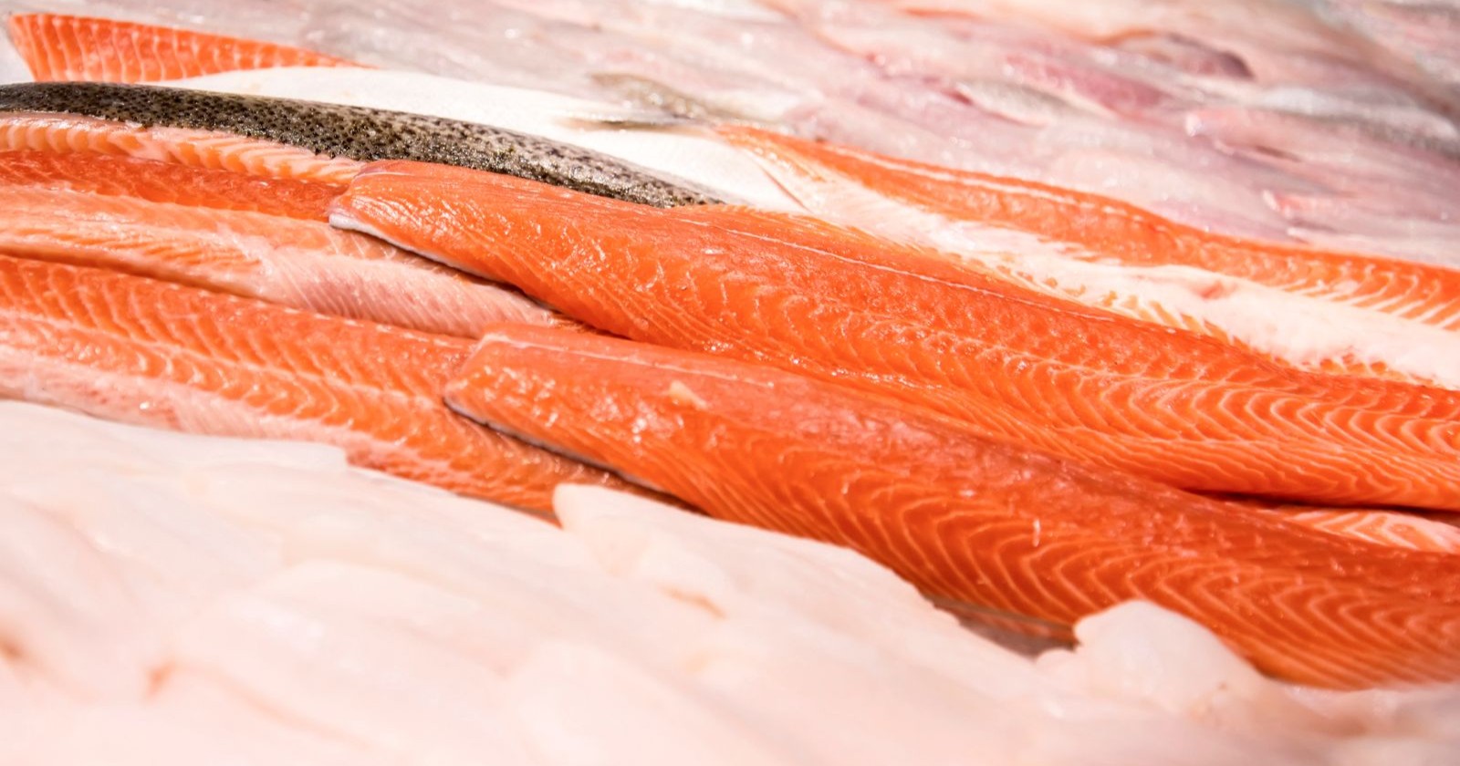 Lachsfilets in einer Auslage eines Fischhändlers