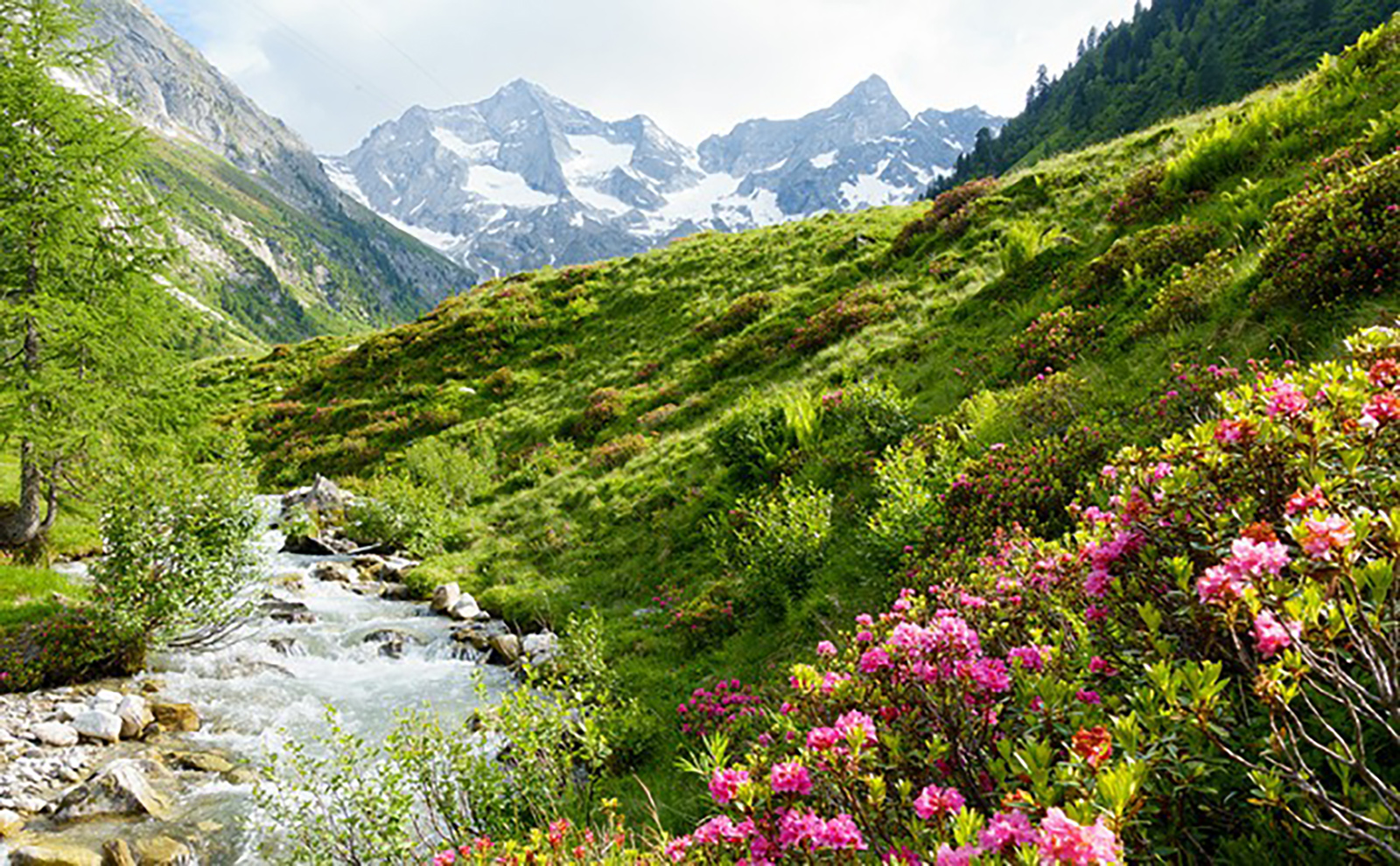 Idyllische Gebirgslandschaft mit einem Bach | Credit: Hotel Auszeit