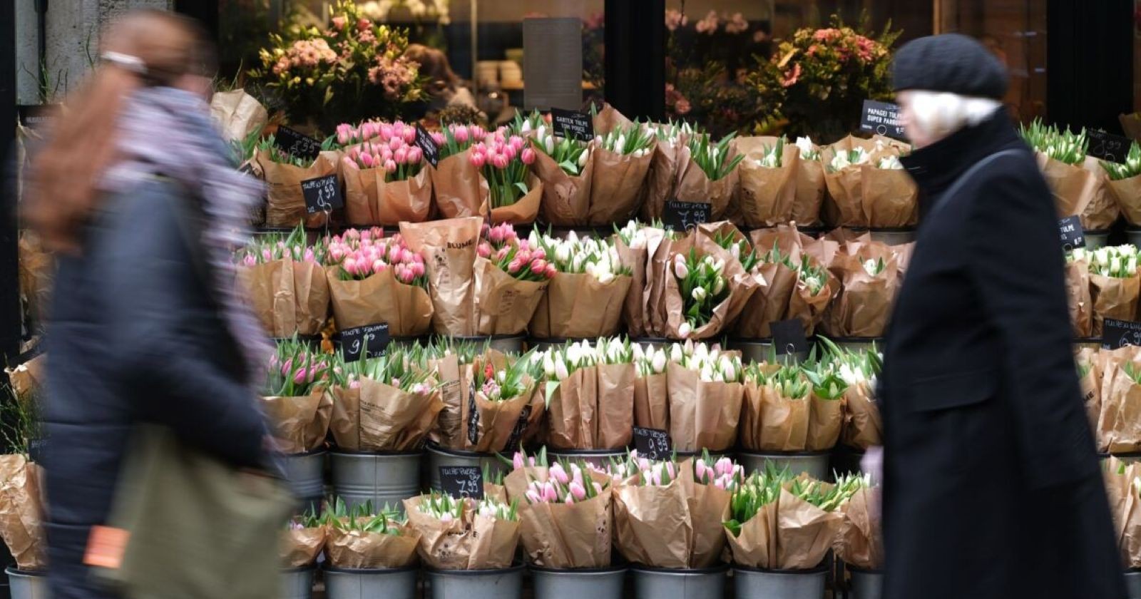 Zwei Menschen gehen an Tulpen vorbei.