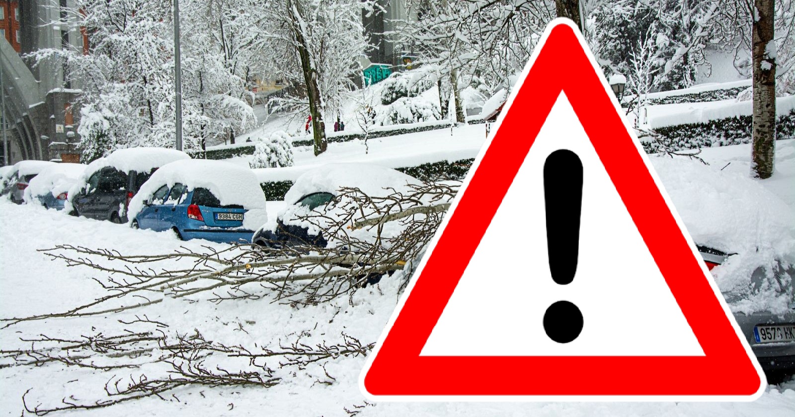 Schneechaos in der Steiermark – umgestürzte Äste bedecken Autos, Behörden lösen AT-Alert-Notfallalarm wegen starker Schneefälle und Schneebruchgefahr aus.