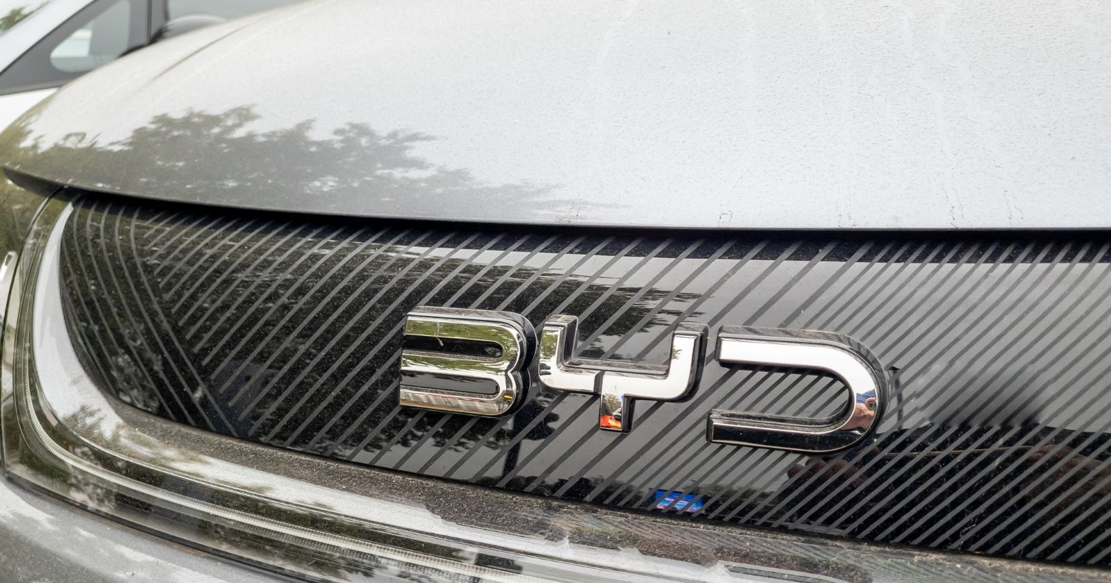 Ansicht auf einen Kühlergrill eines Fahrzeuges des chinesischen Herstellers BYD