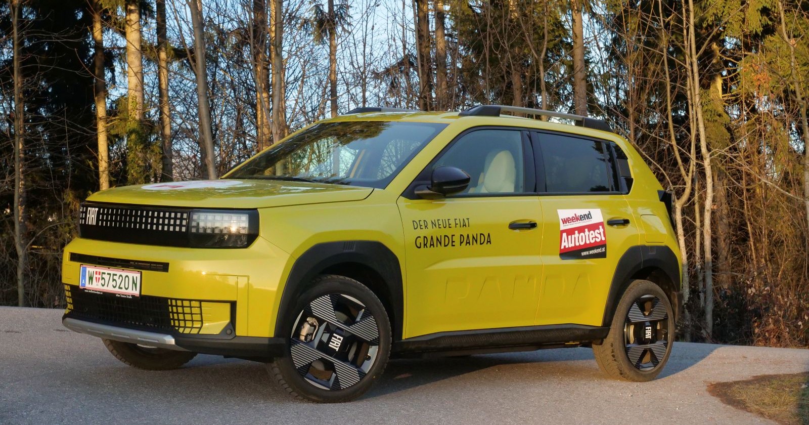 Ein gelber Grande Panda parkt am Rande eines Nadelwaldes.