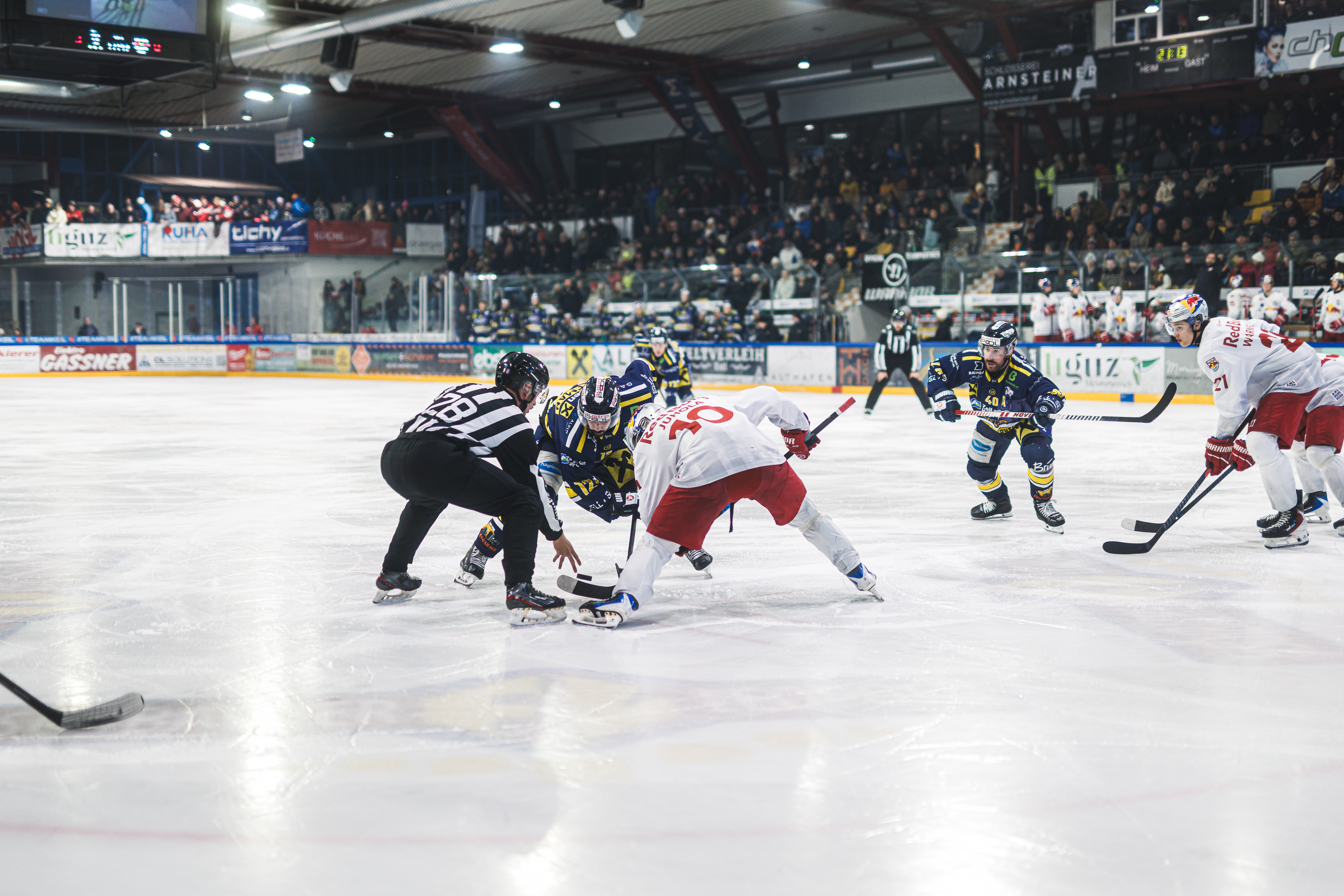 Zell am See empfängt Salzburg: Die Eisbären wollen im Heim-Finale gegen die Red Bull Hockey Juniors vorlegen.