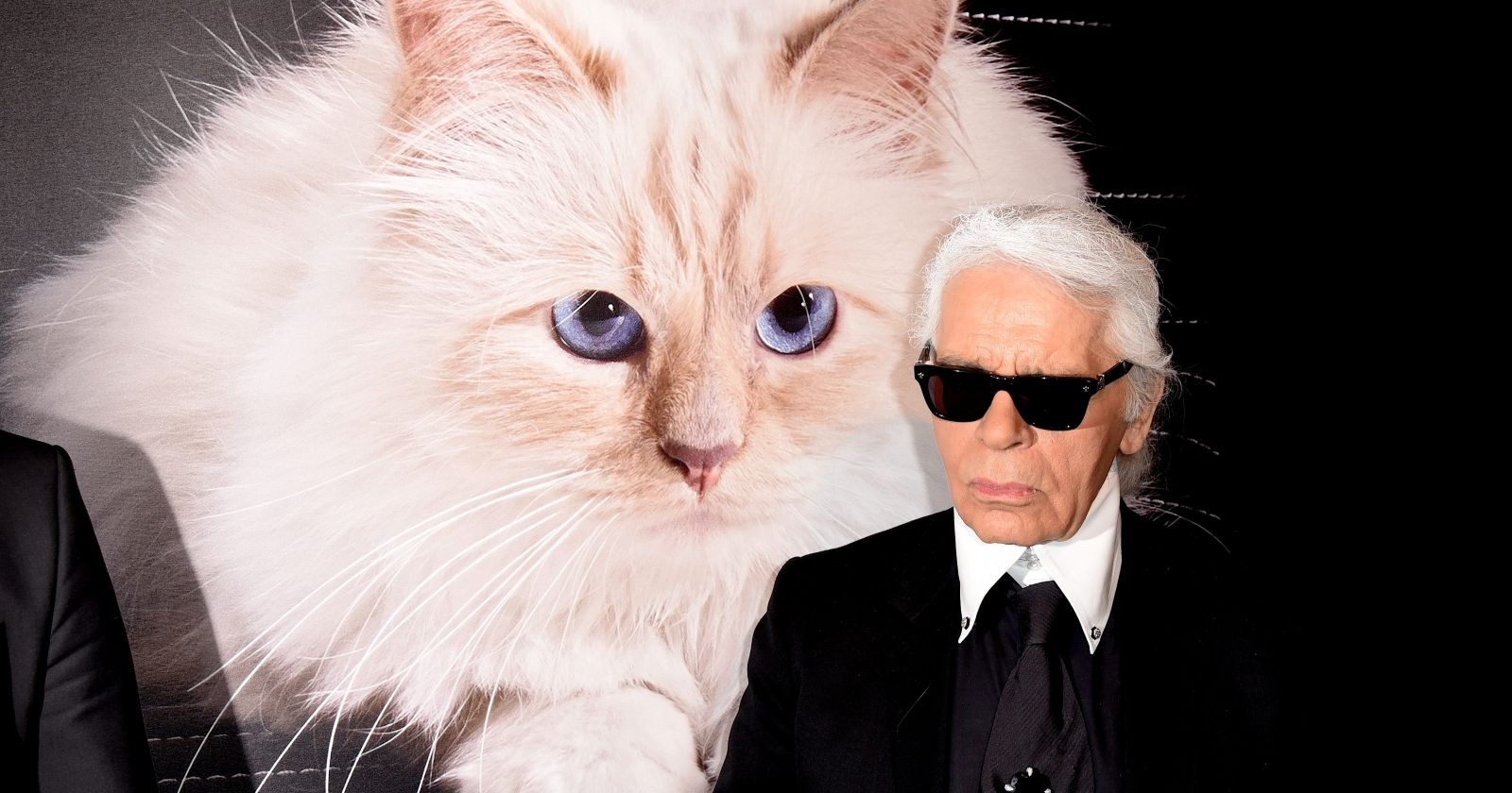 Karl Lagerfeld steht in dunklem Anzug und Sonnenbrille vor einem großen Foto seiner weißen Katze Choupette mit blauen Augen – Themenbild für die Anfechtung seines Testaments.