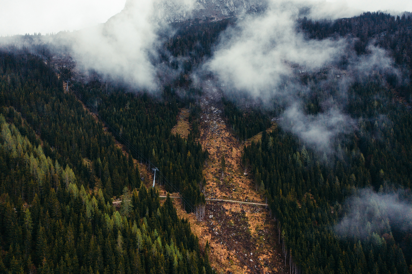 Waldansicht von oben | Credit: roastmedia