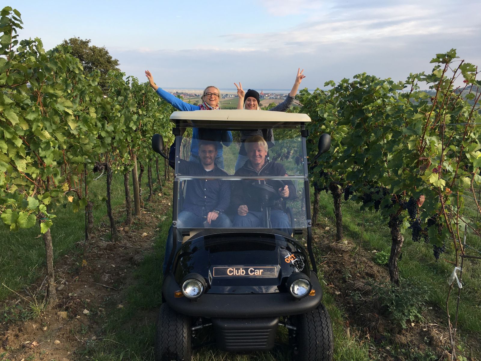 Vier Menschen fahren mit dem Golf Car durch die Weinberge.