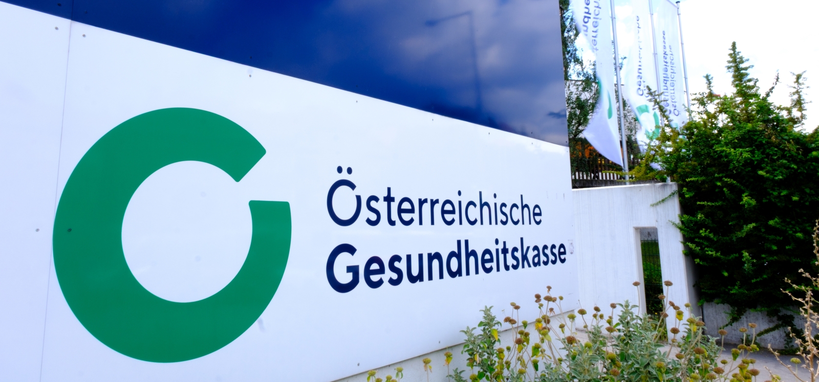 Das Logo der Österreichischen Gesundheitskasse (ÖGK).